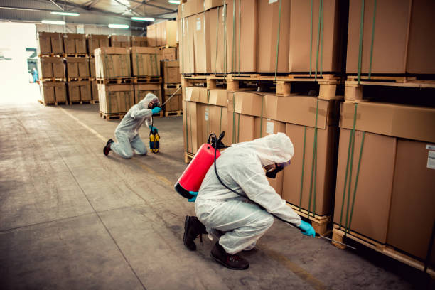 Wasp Removal Services in Avondale, LA
