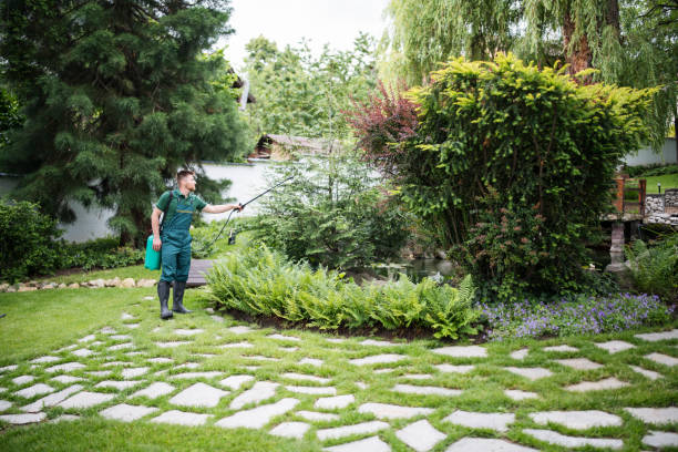 Reliable Avondale, LA Pest Control Solutions