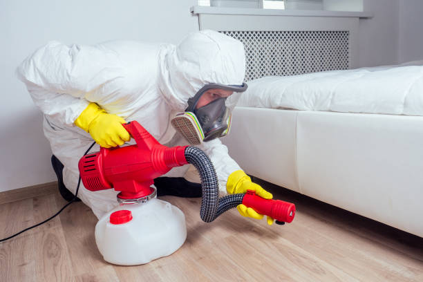 Best Termite Control Services  in Avondale, LA