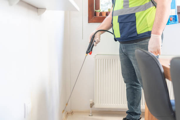 Best Wasp Removal Services  in Avondale, LA