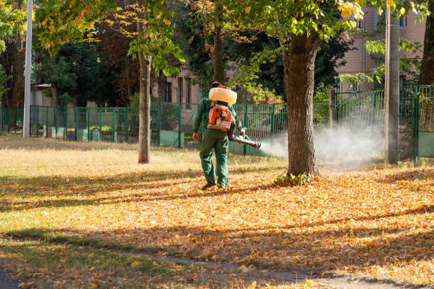 Wasp Removal Services in Avondale, LA