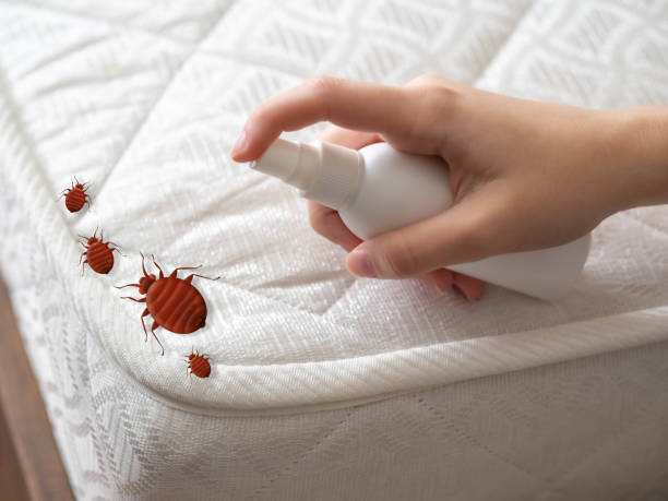 Best Commercial Pest Control Services  in Avondale, LA